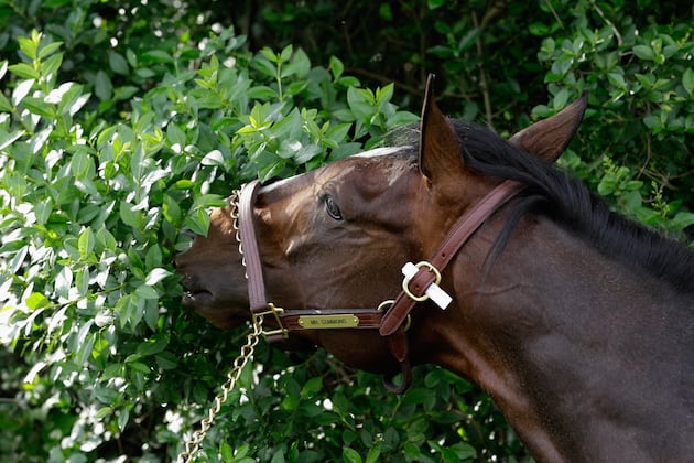 Obviously Sets Course Record in Del Mar Mile Victory