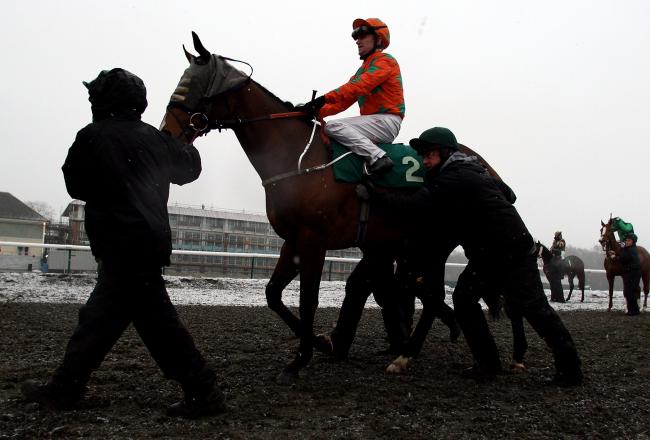 Hi-res-hi-res-95890771_crop_north