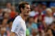NEW YORK, NY - SEPTEMBER 05: Andy Murray of Great Britain reacts against Marin Cilic of Croatia during their men's singles quarterfinal match on Day Ten of the 2012 US Open at USTA Billie Jean King National Tennis Center on September 5, 2012 in the Flushing neighborhood of the Queens borough of New York City. (Photo by Clive Brunskill/Getty Images)