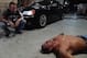 http://www.j-cena.com/wp-content/uploads/2012/09/20120903_LARGE_raw_v_punkovercena_L-484x324.jpg