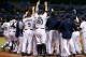 ST. PETERSBURG - SEPTEMBER 07: The Tampa Bay Rays celebrate a walk off home run against the Texas Rangers during the game at Tropicana Field on September 7, 2012 in St. Petersburg, Florida. (Photo by J. Meric/Getty Images)