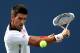 NEW YORK, NY - SEPTEMBER 08: Novak Djokovic of Serbia returns a shot during his men's singles semifinal match against David Ferrer of Spain on Day Thirteen of the 2012 US Open at USTA Billie Jean King National Tennis Center on September 8, 2012 in the Flushing neighborhood of the Queens borough of New York City. (Photo by Clive Brunskill/Getty Images)