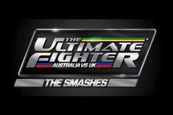 Theultimateposterfighterthesmashes1_large_crop_north