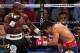 Tim Bradley is looking to return to the ring in December.