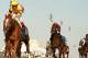 Wise Dan winning the Woodbine Mile (photo via bloodhorse.com)