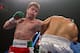 Canelo Alvarez hopes to return in December and then pursue a superfight in 2013.