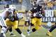 Dwyer leads Steelers in rushing after two weeks.