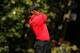 CARMEL, IN - SEPTEMBER 09: Tiger Woods watches his tee shot on the 12th hole during the final round of the BMW Championship at Crooked Stick Golf Club on September 9, 2012 in Carmel, Indiana. (Photo by Scott Halleran/Getty Images)