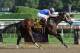 Turbulent Descent winning the G1 Ballerina for her new connections. (photo via bloodhorse.com)