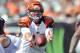 CINCINNATI, OH - SEPTEMBER 16: Quarterback Andy Dalton #14 of the Cincinnati Bengals hands off against the Cleveland Browns at Paul Brown Stadium on September 16, 2012 in Cincinnati, Ohio. (Photo by Jamie Sabau/Getty Images)