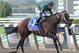 Dust and Diamonds winning the Gallant Bloom (photo by bloodhorse.com)