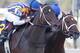 My Miss Aurelia outfinishes Questing (GB) to take the Cotillion Stakes (photo via horseracingnation.com)