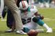 The Miami Dolphins loss to the New York Jets may not have been the worst loss they suffered today.