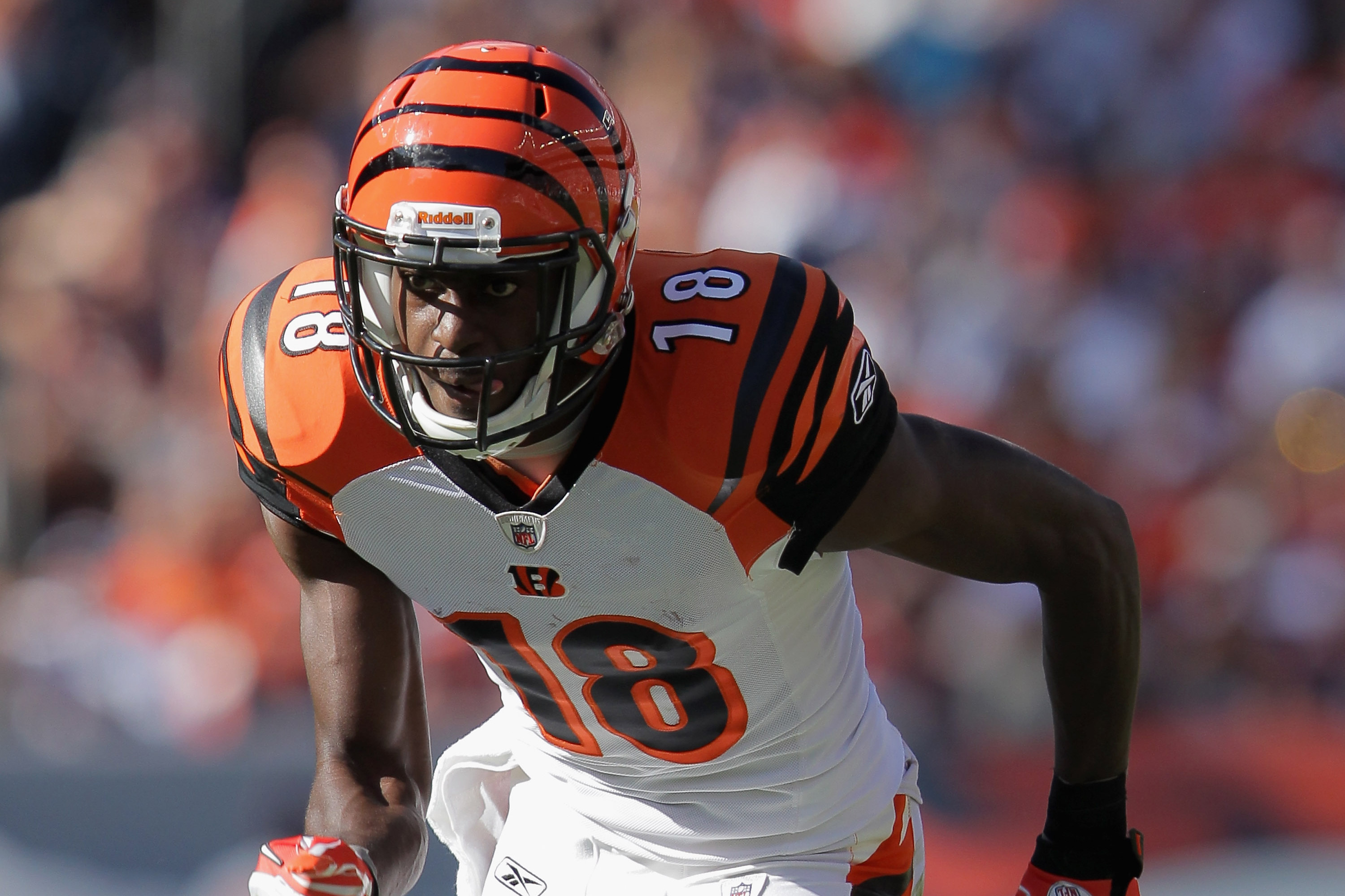 Who Wears the Crown Who Is the Best Player for Cincinnati Bengals