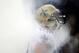 Saints' season going up in smoke.
