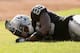 OAKLAND, CA - SEPTEMBER 23: Darrius Heyward-Bey #85 of the Oakland Raiders lays on the field after getting hit hard in their game against the Pittsburgh Steelers at Oakland-Alameda County Coliseum on September 23, 2012 in Oakland, California. (Photo by Ezra Shaw/Getty Images)