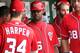 WASHINGTON, DC - SEPTEMBER 8: Bryce Harper #34 of the Washington Nationals speaks with assistant coach Bo Porter #16 in the dugout against the Miami Marlins at Nationals Park on September 8, 2012 in Washington, DC. The Nationals won 7-6. (Photo by Ned Dishman/Getty Images)