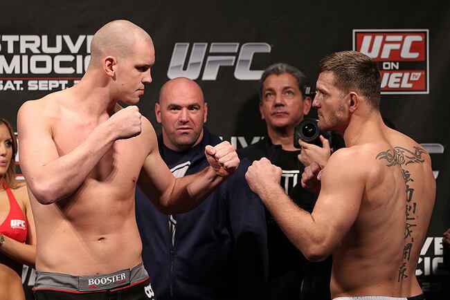 Struvemiocic_crop_north