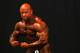 MELBOURNE, AUSTRALIA - MARCH 17: Branch Warren of the USA prepares backstage prior to the pre judging for the 2012 IFBB Australian Pro Grand Prix XII at The Plenary on March 17, 2012 in Melbourne, Australia. (Photo by Robert Cianflone/Getty Images)