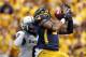 MORGANTOWN, WV - SEPTEMBER 29: Stedman Bailey #3 of the West Virginia Mountaineers catches a forty seven yard touchdown pass in the first half against K.J. Morton #8 of the Baylor Bears during the game on September 29, 2012 at Mountaineer Field in Morgantown, West Virginia. (Photo by Justin K. Aller/Getty Images)