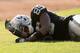 OAKLAND, CA - SEPTEMBER 23: Darrius Heyward-Bey #85 of the Oakland Raiders lays on the field after getting hit hard in their game against the Pittsburgh Steelers at Oakland-Alameda County Coliseum on September 23, 2012 in Oakland, California. (Photo by Ezra Shaw/Getty Images)