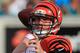 JACKSONVILLE, FL - SEPTEMBER 30: Quarterback Andy Dalton #14 of the Cincinnati Bengals passes the ball against the Jacksonville Jaguars at EverBank Field on September 30, 2012 in Jacksonville, Florida. The Bengals defeated the Jaguars 27-10. (Photo by Chris Trotman/Getty Images)
