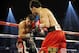 Julio Cesar Chavez Jr. is promising to knockout Sergio Martinez in a rematch.