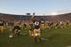 SOUTH BEND, IN - SEPTEMBER 22: Members of the Notre Dame Fighting Irish including Josh Atkinson #43 pray in the end zone before taking on the Michigan Wolverines at Notre Dame Stadium on September 22, 2012 in South Bend, Indiana. Notre Dame defeated Michigan 13-6. (Photo by Jonathan Daniel/Getty Images)