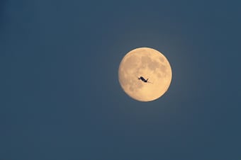 Hi-res-149587137_crop_north