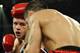 Chavez Jr. says he never touched marijuana.