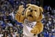 NASHVILLE, TN - MARCH 14: Bully, the mascot for the Mississippi State Bulldogs performs against the Kentucky Wildcats during the final of the SEC Men's Basketball Tournament at the Bridgestone Arena on March 14, 2010 in Nashville, Tennessee. Kentucky won 75-74 in overtime. (Photo by Andy Lyons/Getty Images)