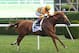 Photo Via Coglianese Photos