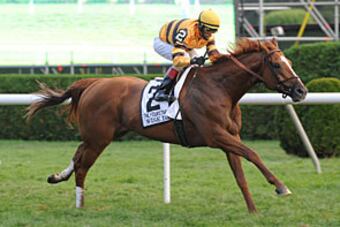 Wisedan_crop_north