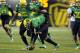 EUGENE, OR - OCTOBER 6: Wide receiver B.J. Kelley #23 of the Oregon Ducks picks up a muffed punt during the first quarter of the game against the Washington Huskies on October 6, 2012 at Autzen Stadium in Eugene, Oregon. (Photo by Steve Dykes/Getty Images)