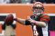 The Bengals loss to the Dolphins on Sunday proves that Andy Dalton's development is far from over.