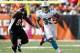 CINCINNATI, OH - OCTOBER 07: Running back Daniel Thomas #33 of the Miami Dolphins runs away from defensive tackle Geno Atkins #97 of the Cincinnati Bengals at Paul Brown Stadium on October 7, 2012 in Cincinnati, Ohio. (Photo by Matt Sullivan/Getty Images)