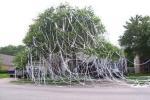 Toilet-papered-740595_crop_exact_crop_north