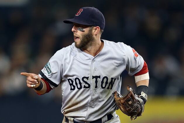 Pin Placed in Pedroia's Finger for Four Weeks