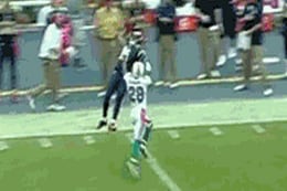 Rams WR Brandon Gibson Makes Catch of the Season vs. Dolphins