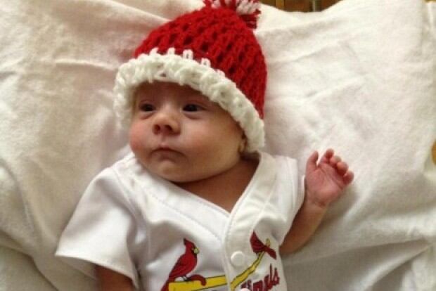 OK, Fine. This Is One Cute Cards Fan