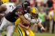 HOUSTON, TX - OCTOBER 14: J.J. Watt #99 of the Houston Texans sacks Aaron Rodgers #12 of the Green Bay Packers in the third quarter at Reliant Stadium on October 14, 2012 in Houston, Texas. (Photo by Scott Halleran/Getty Images)