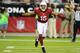 GLENDALE, AZ - AUGUST 30: Michael Floyd #15 of the Arizona Cardinals celebrates after catching a touchdown against the Denver Broncos at University of Phoenix Stadium on August 30, 2012 in Glendale, Arizona. (Photo by Norm Hall/Getty Images)