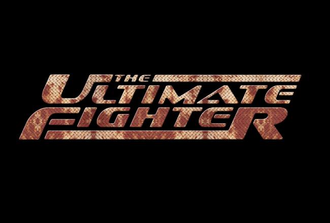 The_ultimate_fighter_m_plate_by_techii_crop_north