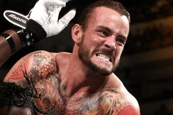 http://img.bleacherreport.net/img/images/photos/001/952/089/CM-Punk2_crop_exact.jpg?w=340&h=234&q=75
