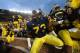 ANN ARBOR, MI - OCTOBER 20: Will Campbell #73 of the Michigan Wolverines celebrates a win over the Michigan State Spartans at Michigan Stadium on October 20, 2012 in Ann Arbor, Michigan. The Wolverines defeated the Spartans 12-10. (Photo by Leon Halip/Getty Images)