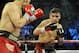 LAS VEGAS, NV - SEPTEMBER 15: Julio Cesar Chavez Jr. (L) and Sergio Martinez trade punches in the tenth round of their WBC middleweight title fight at the Thomas & Mack Center on September 15, 2012 in Las Vegas, Nevada. (Photo by Jeff Bottari/Getty Images)