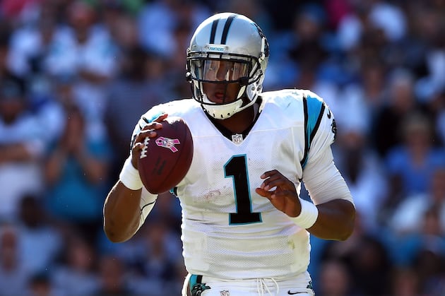 Newton Tries to Get Panthers Going in Chicago
