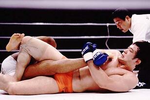 Saku_crop_north