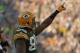 GREEN BAY, WI - SEPTEMBER 30: Greg Jennings #85 of the Green Bay Packers celebrates a touchdown catch against the New Orleans Saints at Lambeau Field on September 30, 2012 in Green Bay, Wisconsin. (Photo by Jonathan Daniel/Getty Images)