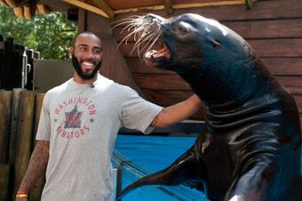 Dhallsealion_crop_north